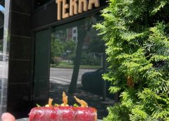 Restaurante Terra